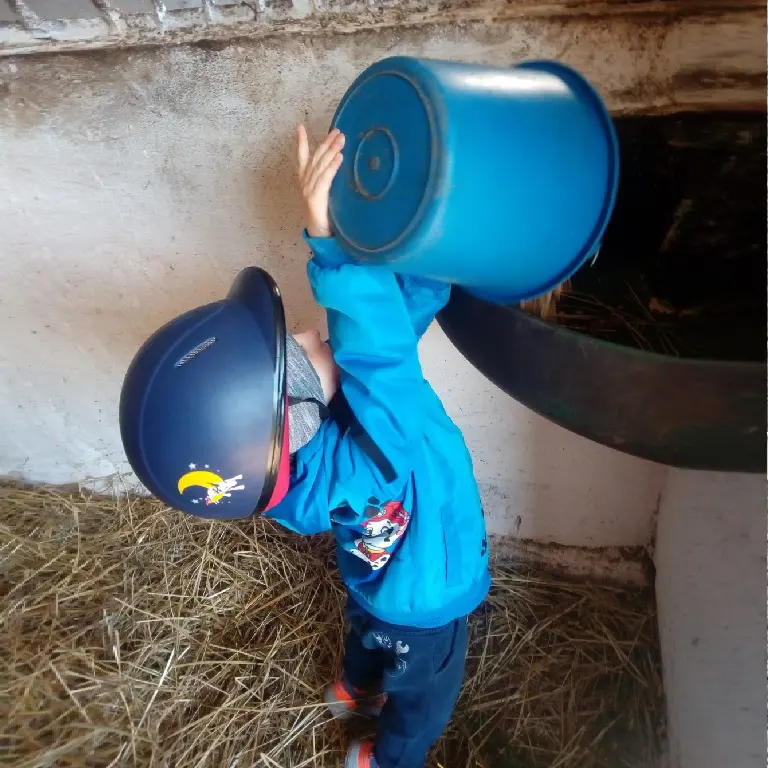 zajęcia hipoterapii