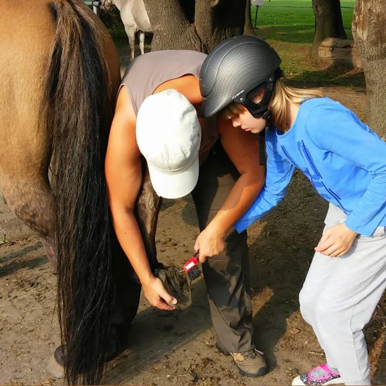 zajęcia hipoterapii