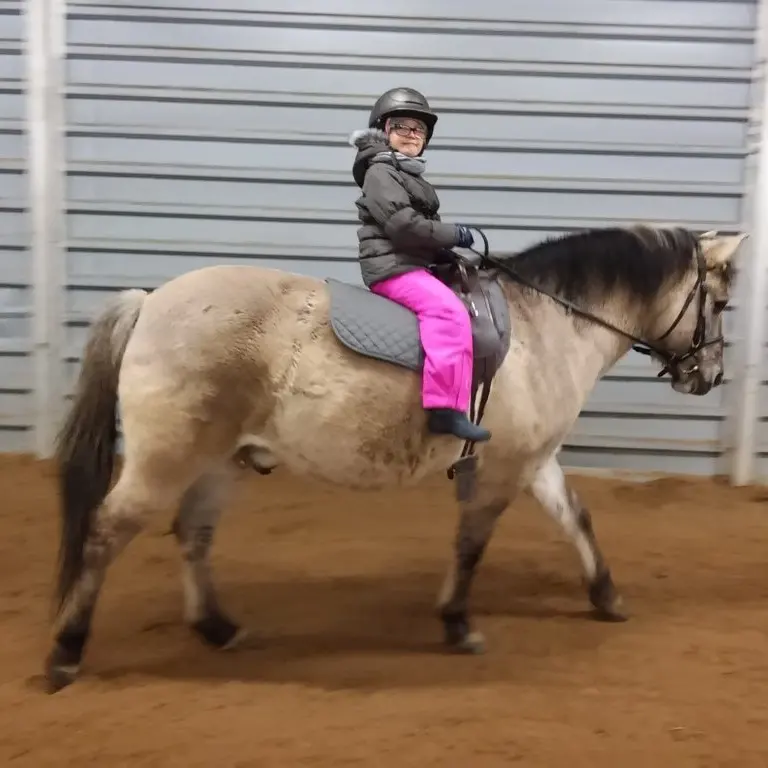 zajęcia hipoterapii