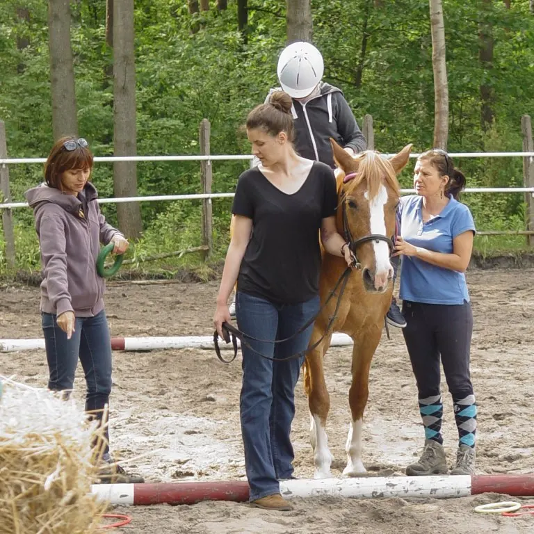 zajęcia hipoterapii