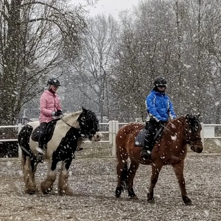 zajęcia hipoterapii