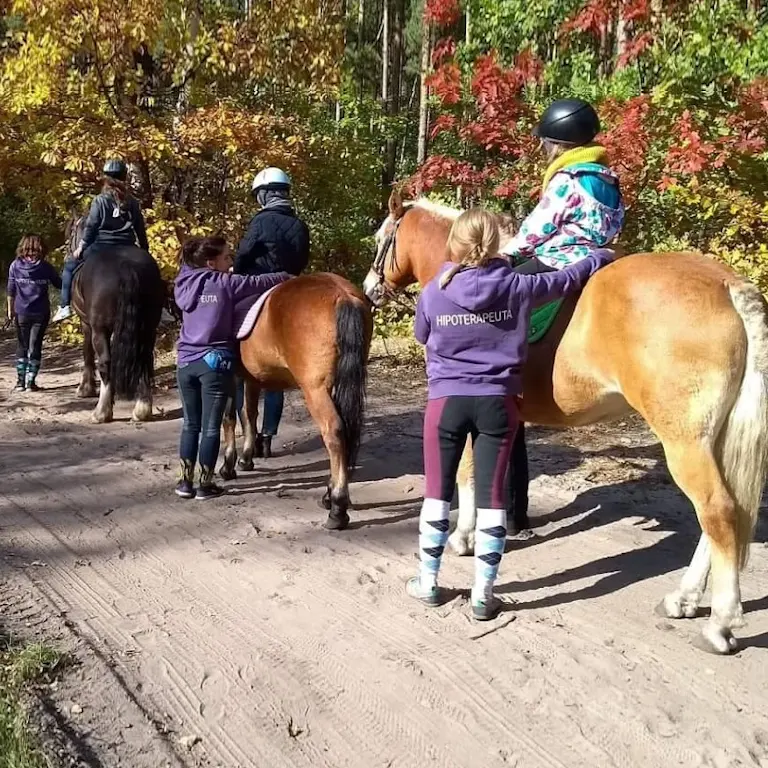 zajęcia hipoterapii