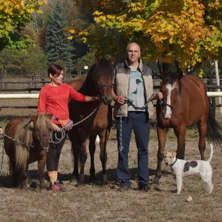 zajęcia hipoterapii