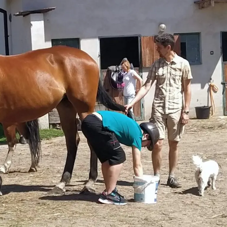 zajęcia hipoterapii