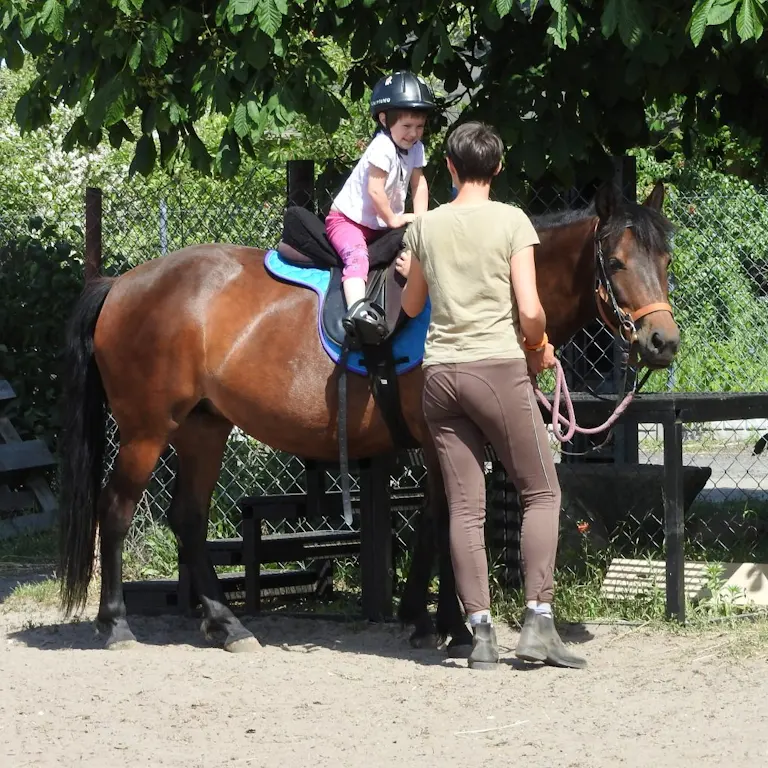 zajęcia hipoterapii