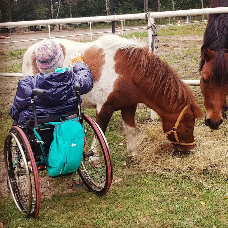 zajęcia hipoterapii