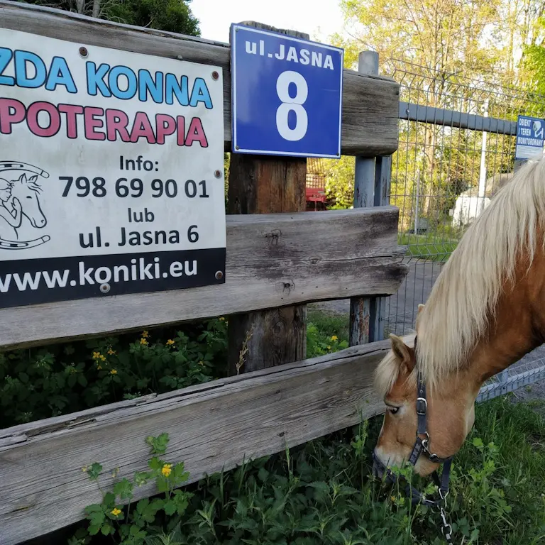 zajęcia hipoterapii