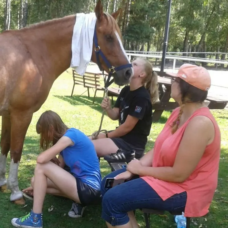 zajęcia hipoterapii