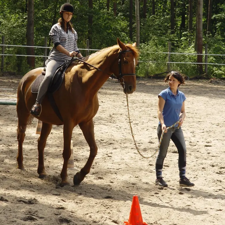 zajęcia hipoterapii