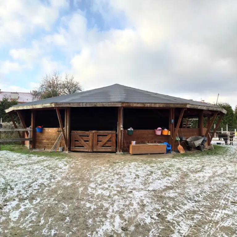 zajęcia hipoterapii