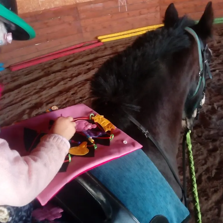 zajęcia hipoterapii