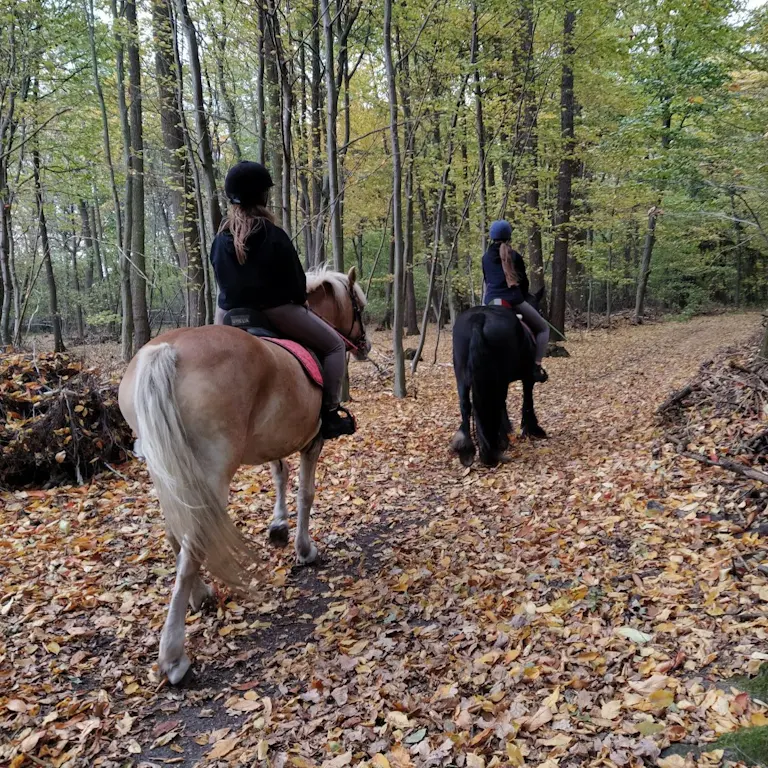 zajęcia hipoterapii